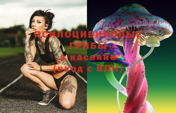дмт Балахна