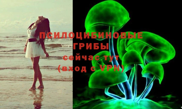 дмт Балахна