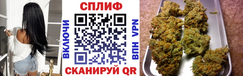 Шишки марихуана сатива  blacksprut зеркало  Ленинск 